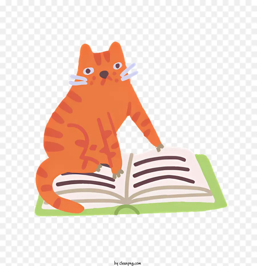 แมว，Cat On Book PNG