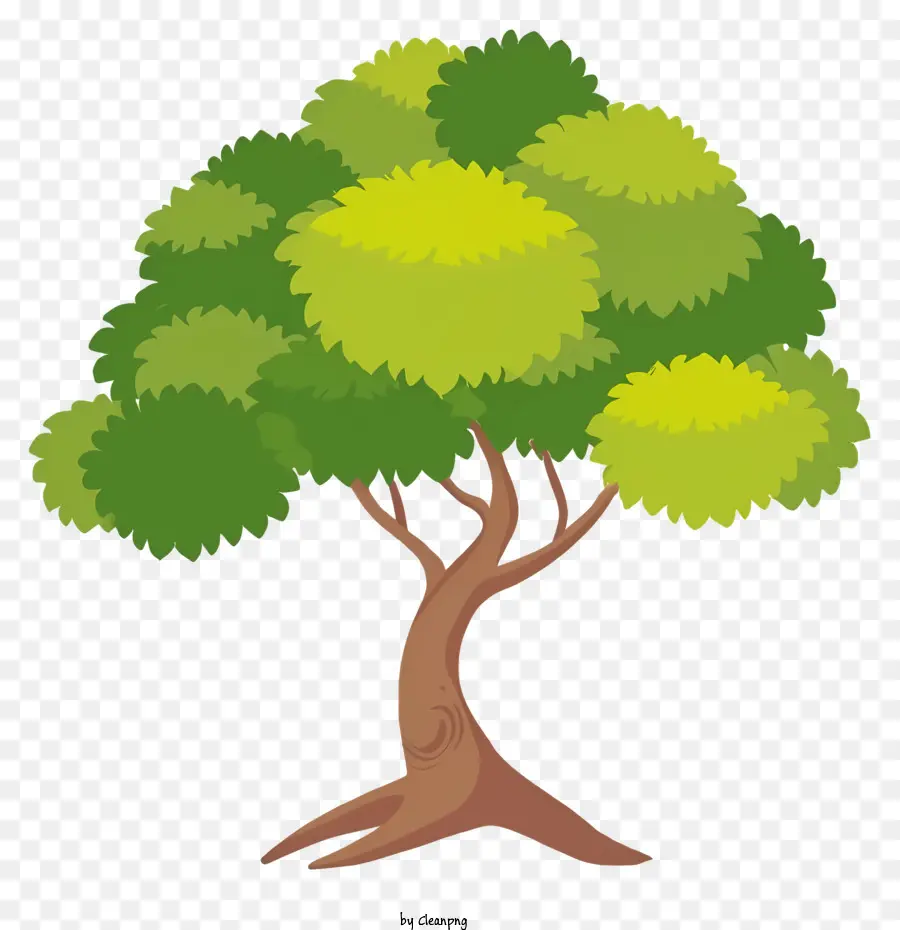 ต้นไม้เขียว，เหลือ PNG