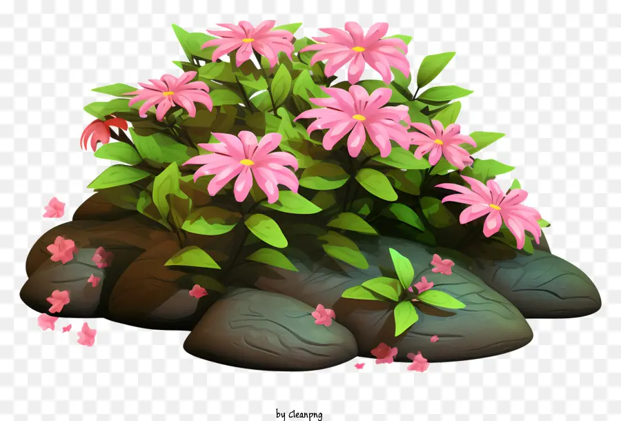ดอกไม้สีชมพู，ดอกไม้สวน PNG