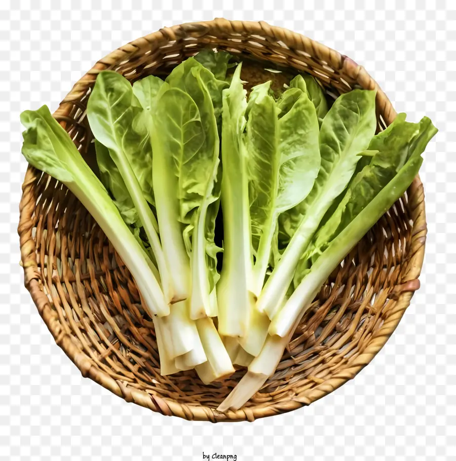 ตะกร้าที่ทอ，Bok Choy PNG