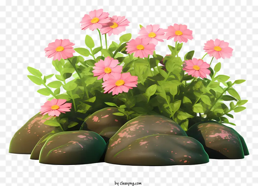 ดอกไม้สีชมพู，ห้า Petals PNG