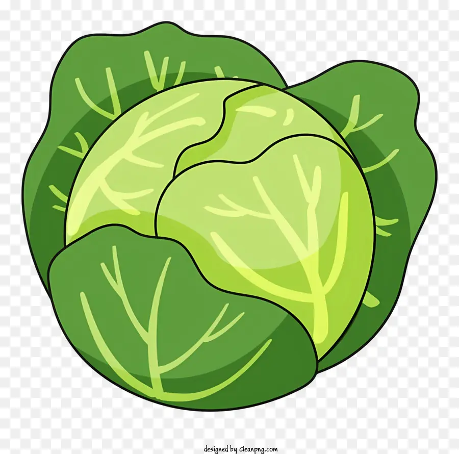 สีเขียว Cabbage，ผักใบเขียว PNG