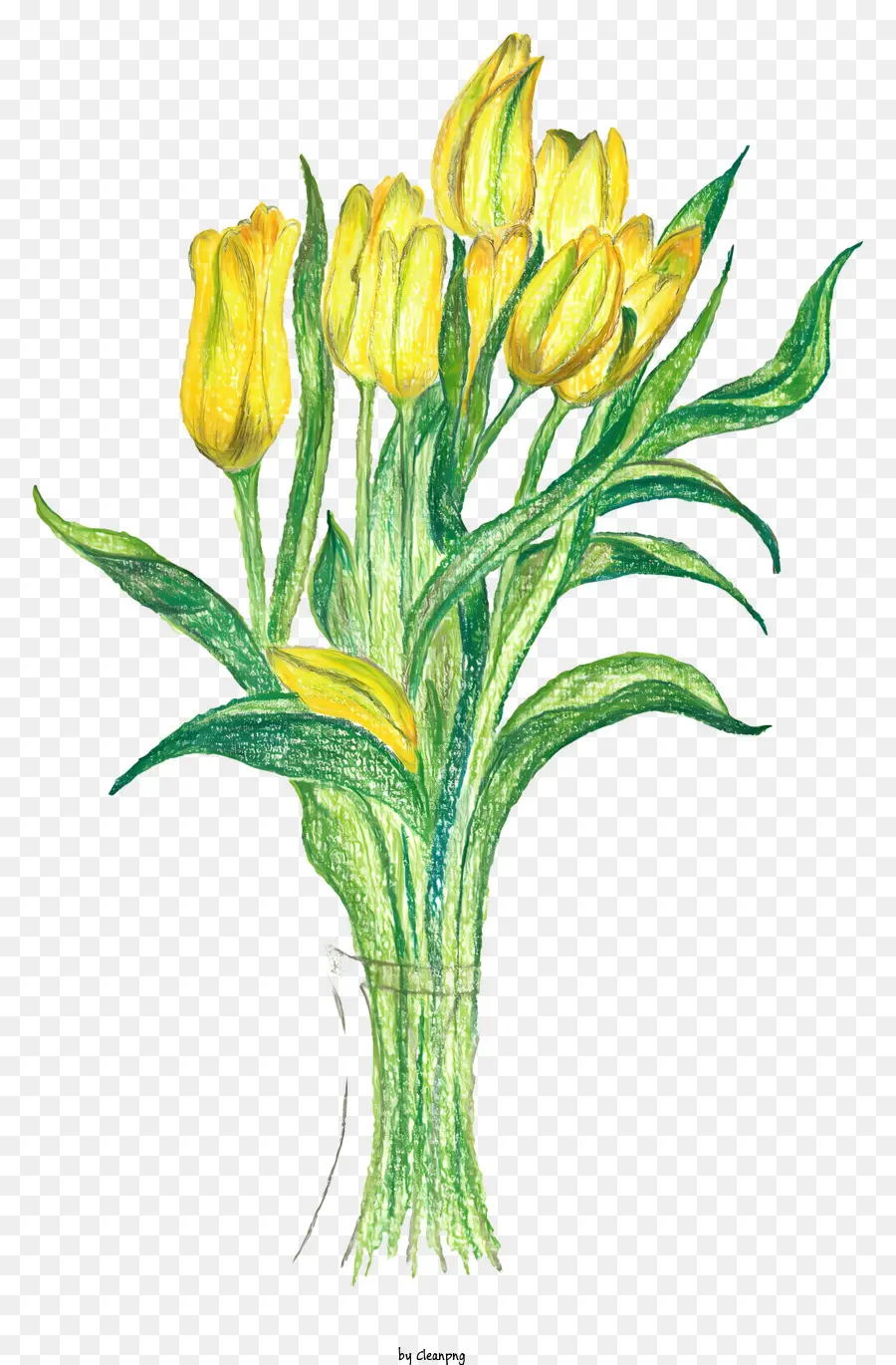 ช่อดอกไม้，สีเหลือง Tulips PNG
