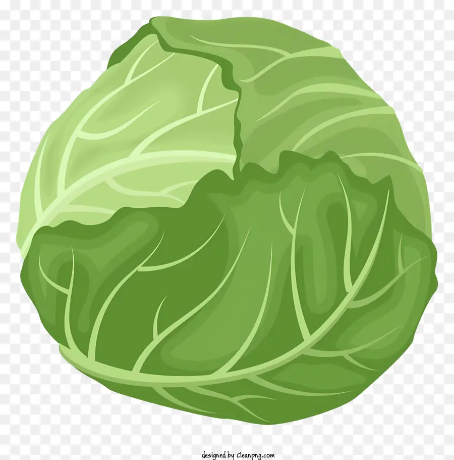 กะหล่ำ，สีเขียว Cabbage PNG
