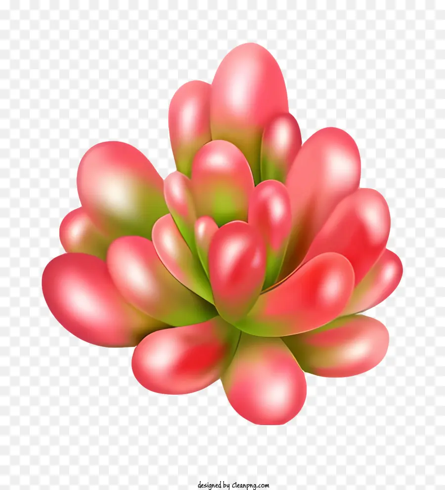 ดอกไม้สีชมพู，สีเขียว Stems PNG