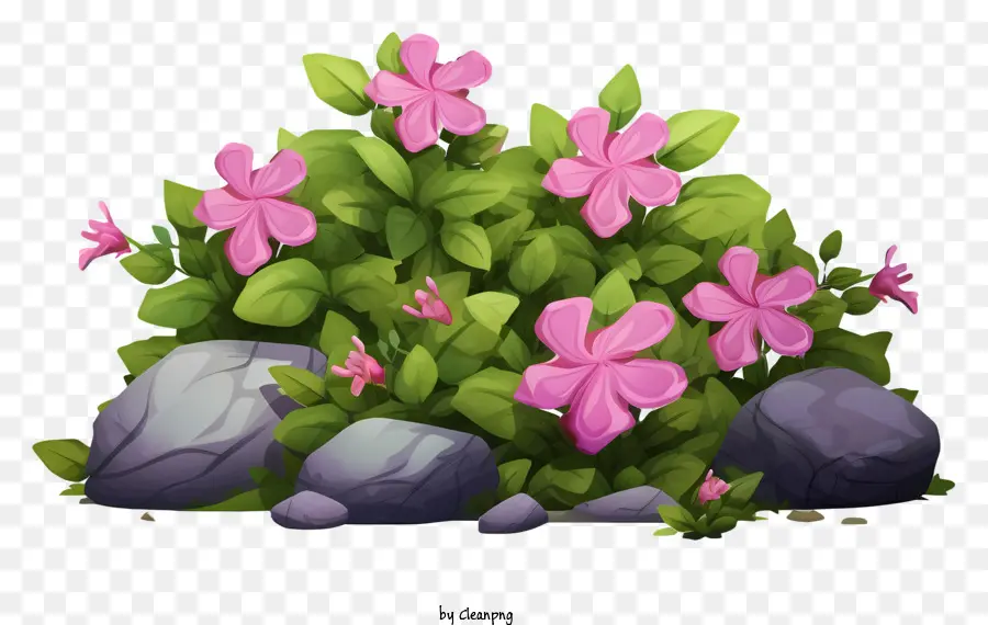 ดอกไม้สีชมพู，กลุ่มดอกไม้ PNG