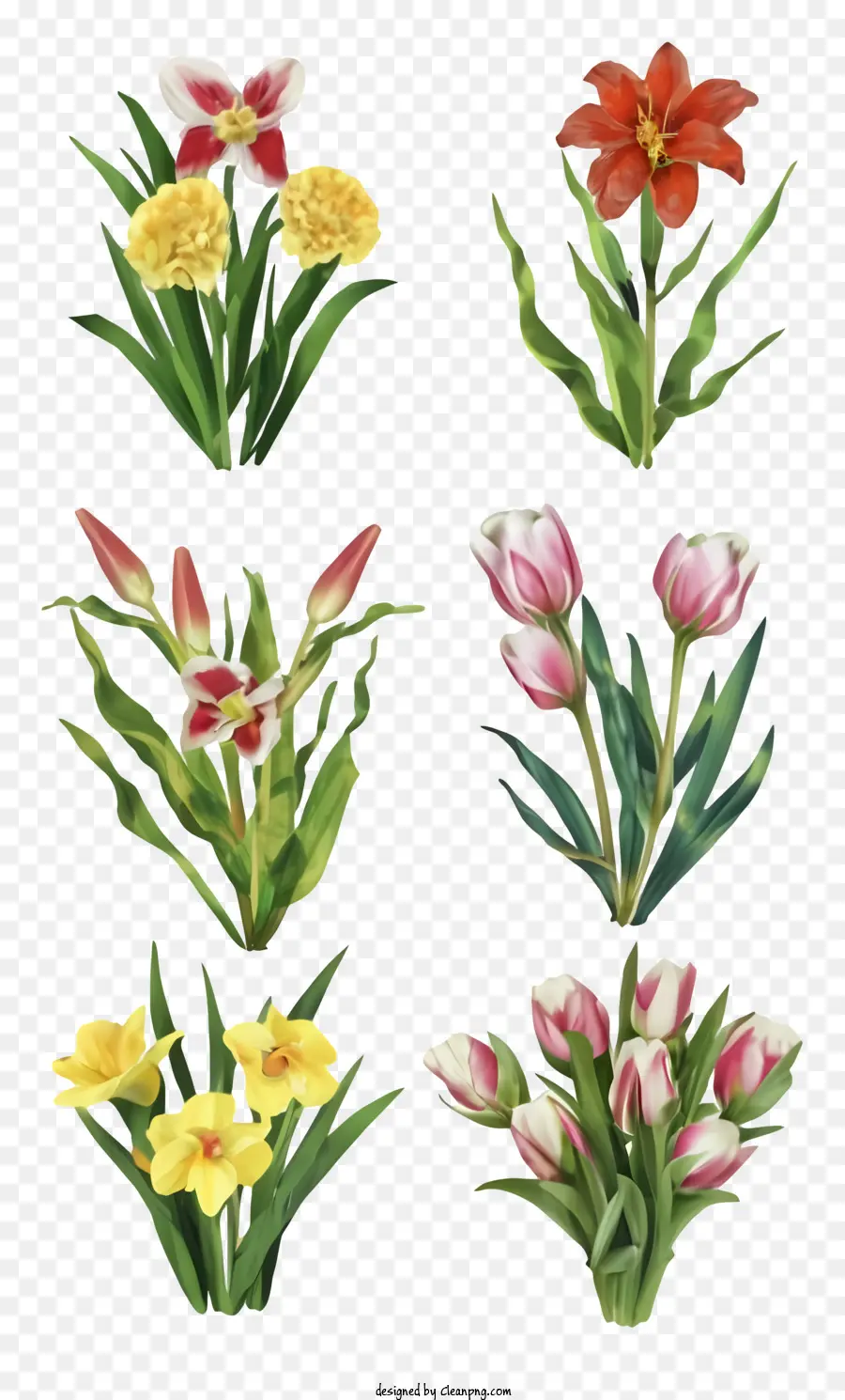 ช่อดอกไม้ของดอกไม้，สีเหลือง Tulips PNG