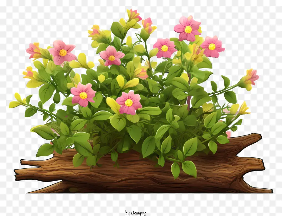 ดอกไม้บนเตียง，ดอกไม้สีชมพู PNG