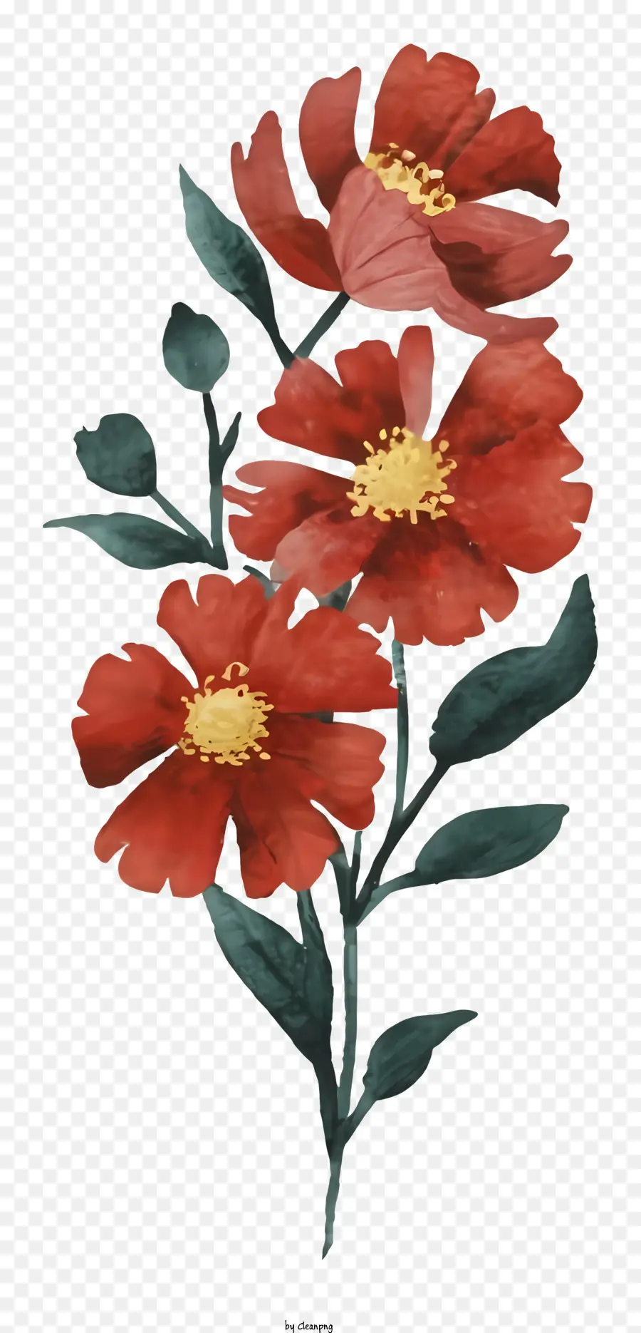 ดอกกุหลาบแดง，การจัดเรียงช่อดอกไม้ PNG