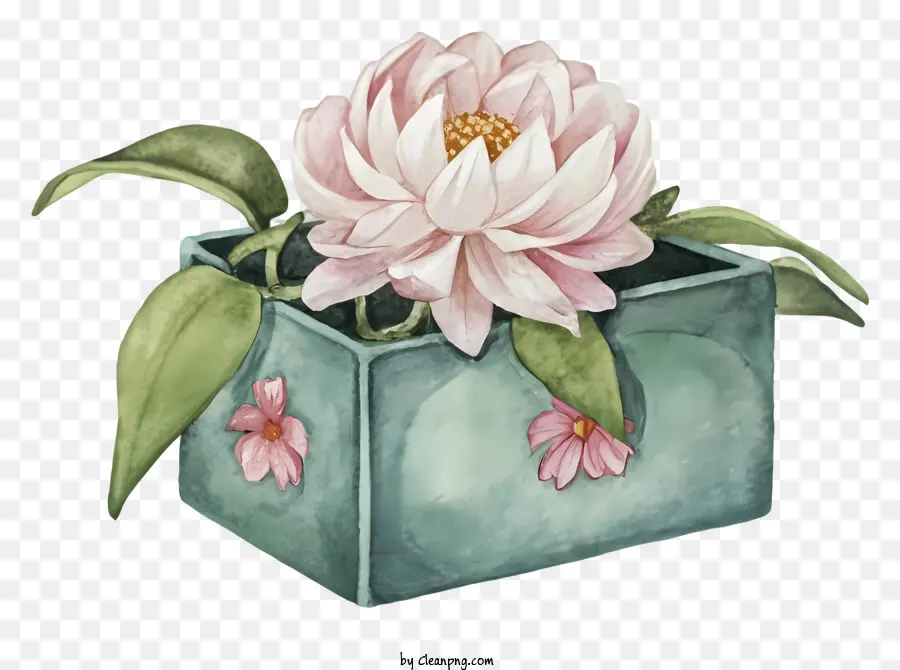 สีชมพู Peony，ข้อตกลงดอกไม้ PNG
