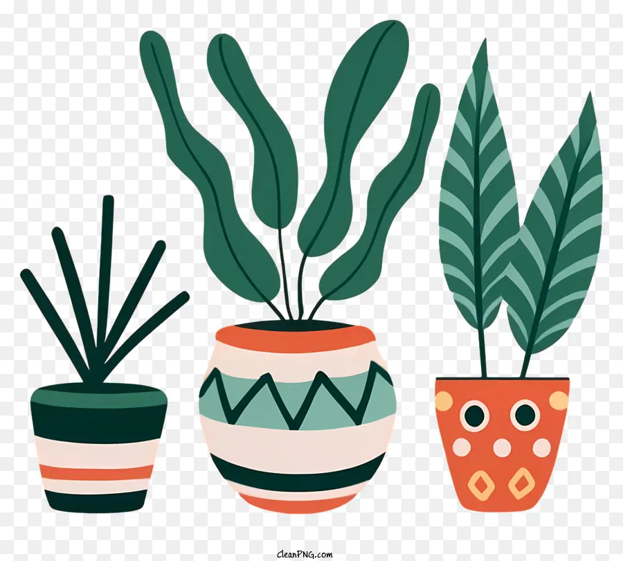 Potted ต้นไม้，Cacti PNG