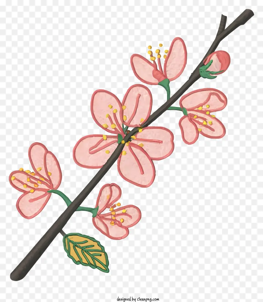 สีชมพู Blossom，แบรนซ์ PNG