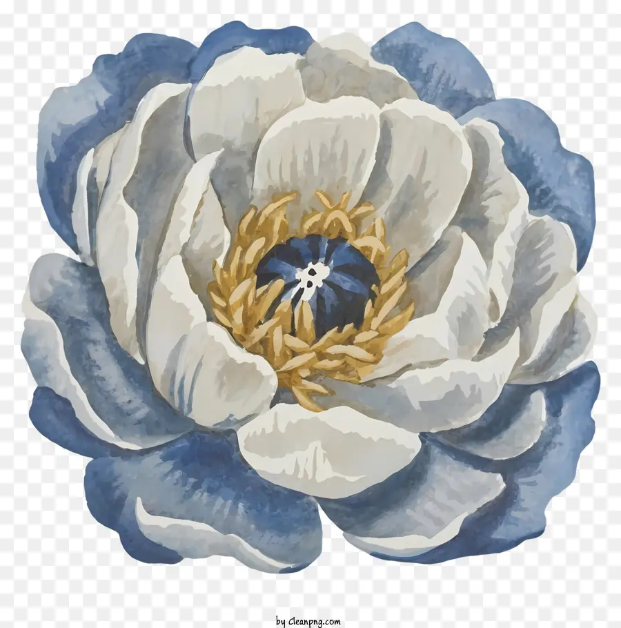 ดอกไม้สีฟ้าและสีขาว，กลีบเกลียว PNG