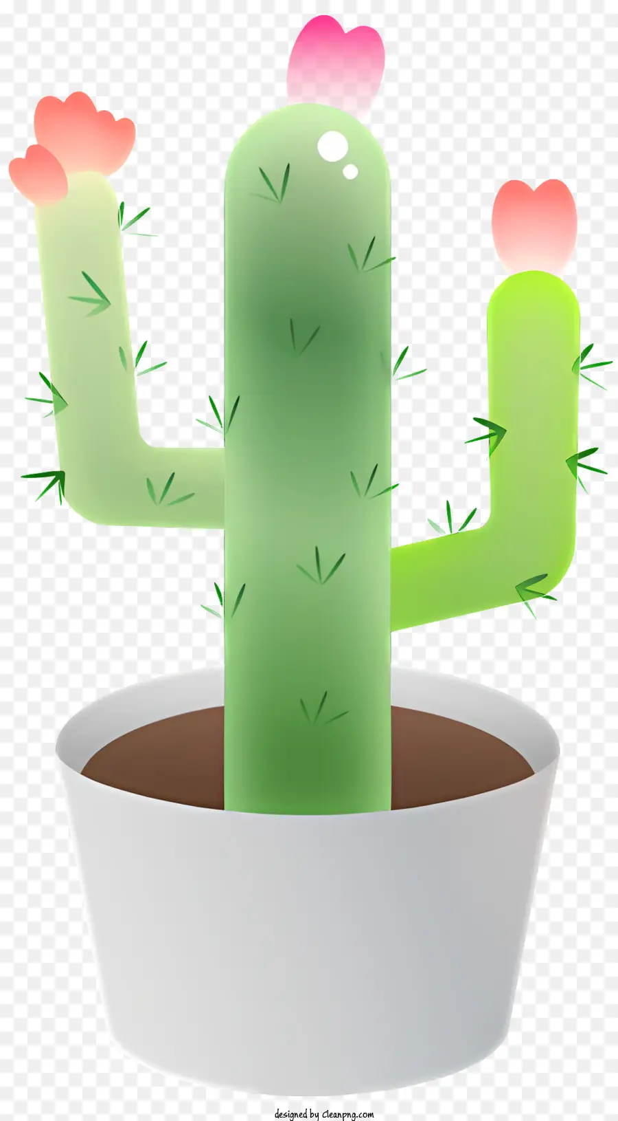 Cactus ต้นไม้，สีขาวหม้อ PNG