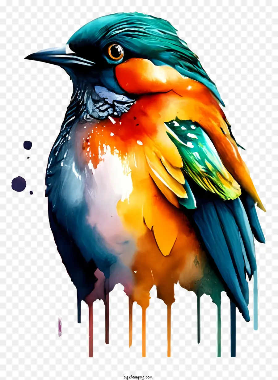 ดิจิตอลภาพวาด，นกที่มีสีสรร PNG