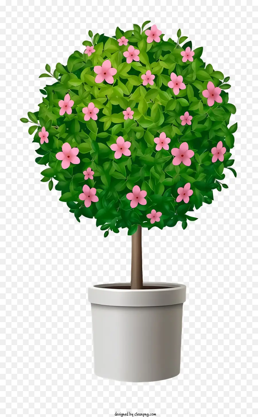 อนู่，ดอกไม้สีชมพู PNG