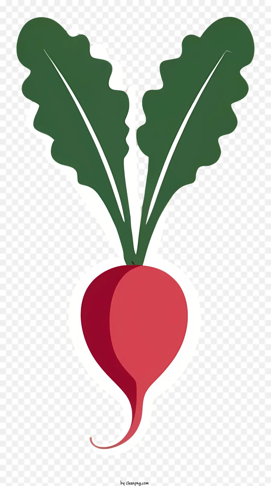 สีแดง Beet，หัวผักกาดที่มีใบสีเขียว PNG