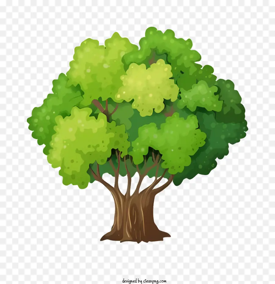 ต้นไม้，ต้นไม้เขียว PNG