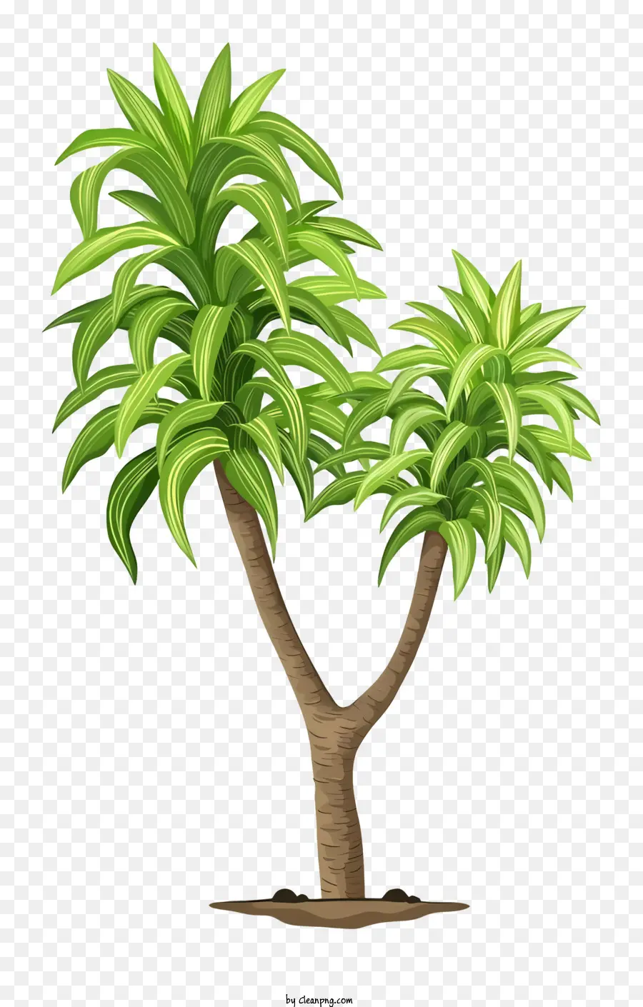 เล็งต้นไม้，ต้นไม้เขียว PNG