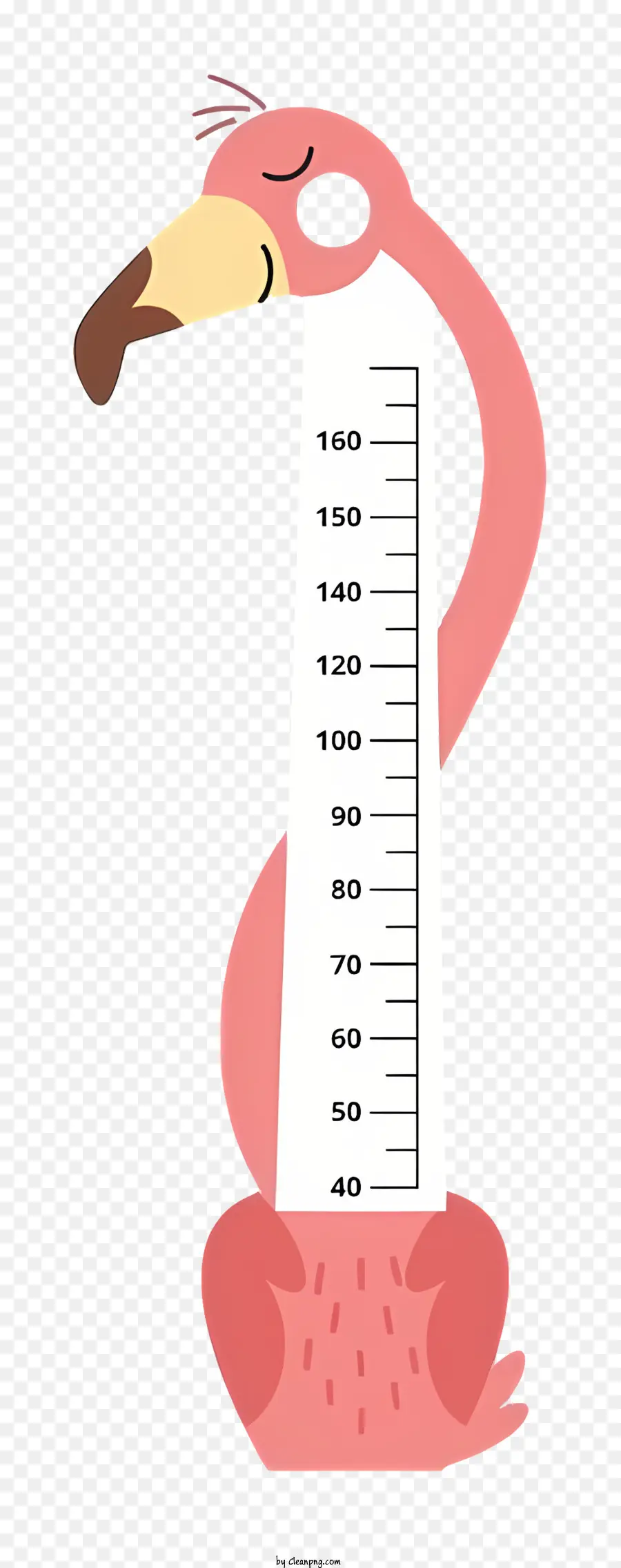 ฟลามิงโกสีชมพู，แผนภูมิความสูงของฟลามิงโก PNG