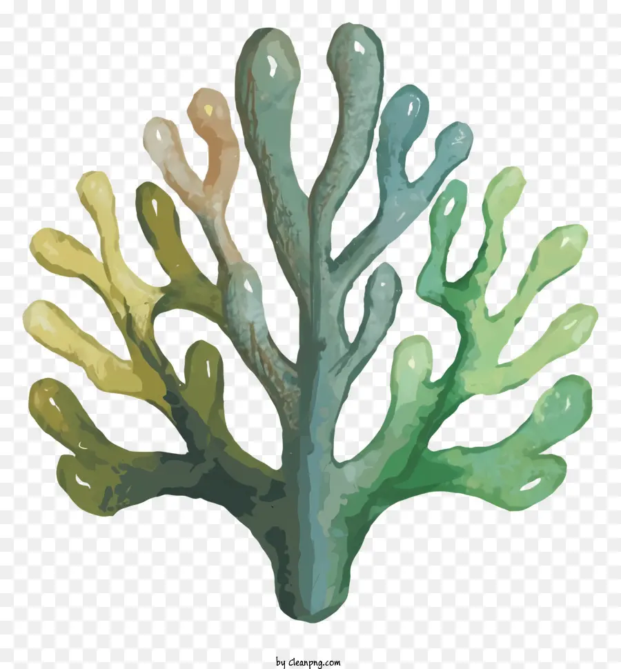 ต้นปะการัง，ต้นไม้หน่วย PNG