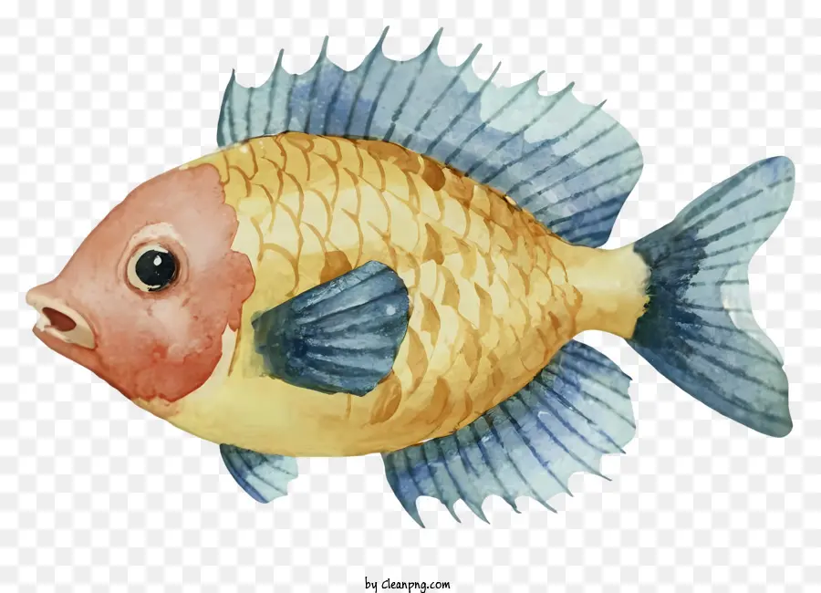 สี Illustration，ปลาสีเหลืองและน้ำเงิน PNG