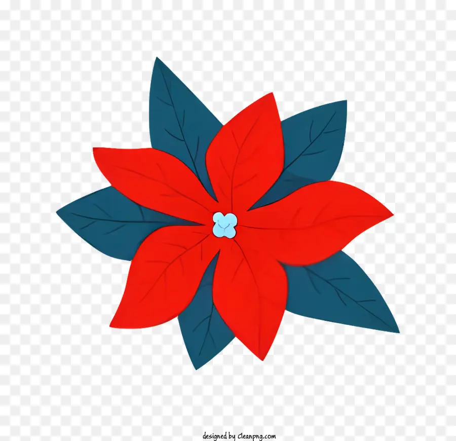 ดอกไม้ Poinsettia，ออกจาก PNG