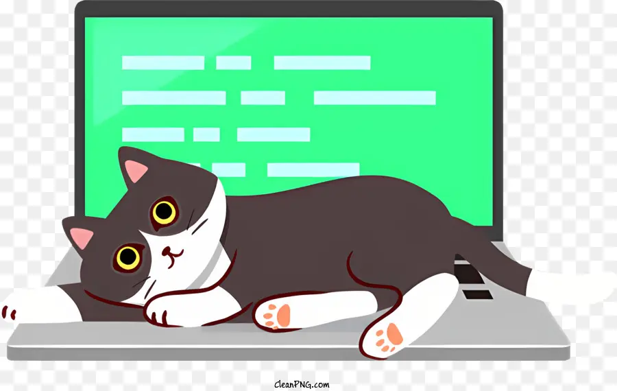 แมวบนแล็ปท็อป，แมวและแล็ปท็อป PNG