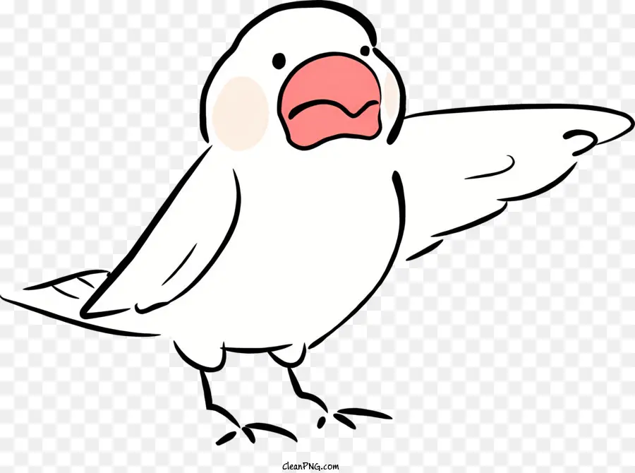 นก，นกสีขาว PNG