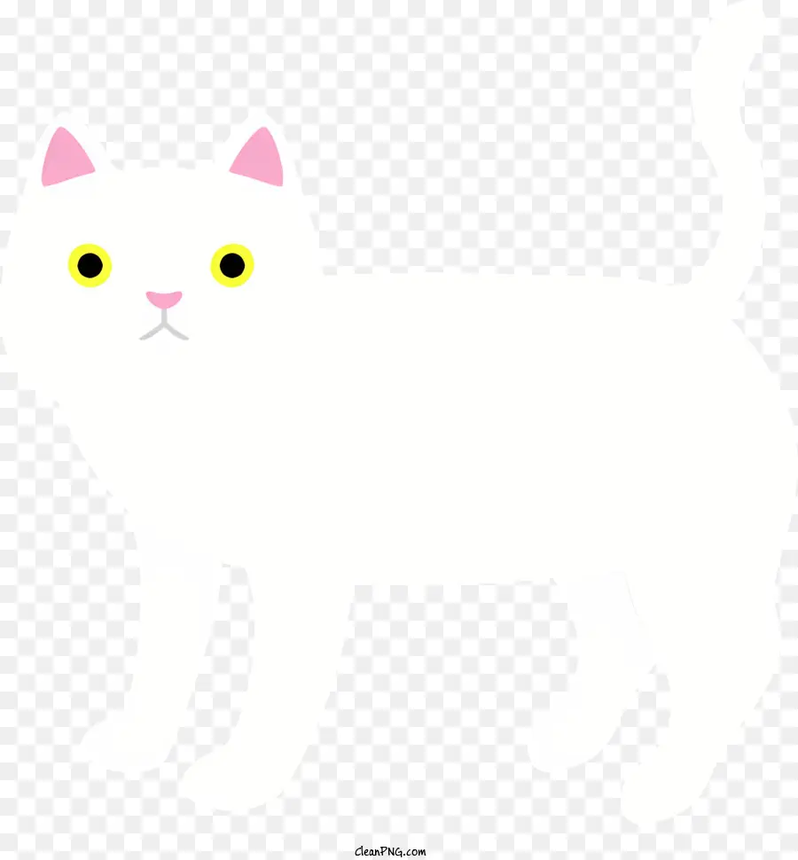 แมวสีขาว，ขาหลัง PNG