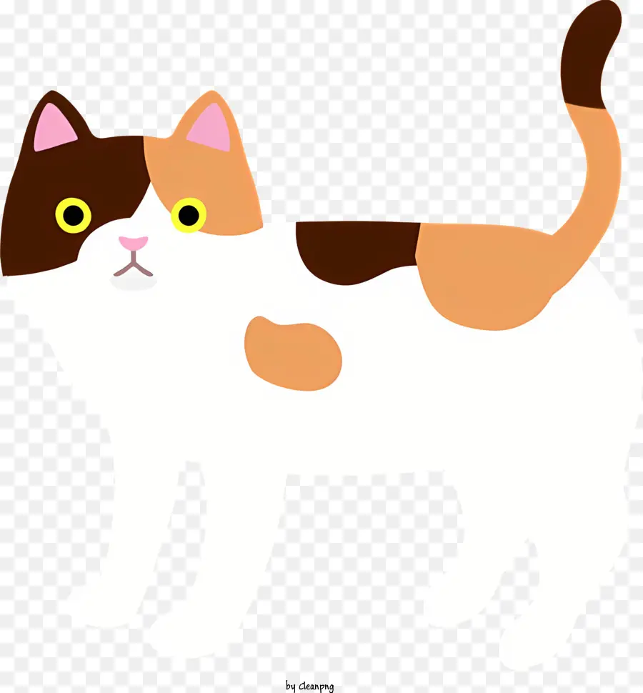 แมว，ขนสีน้ำตาลและสีขาว PNG