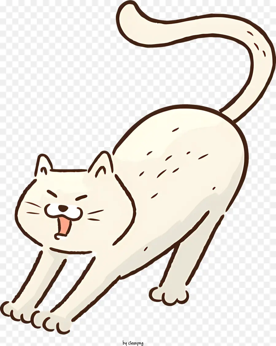 แมวสีขาว，แมวเลีย PNG