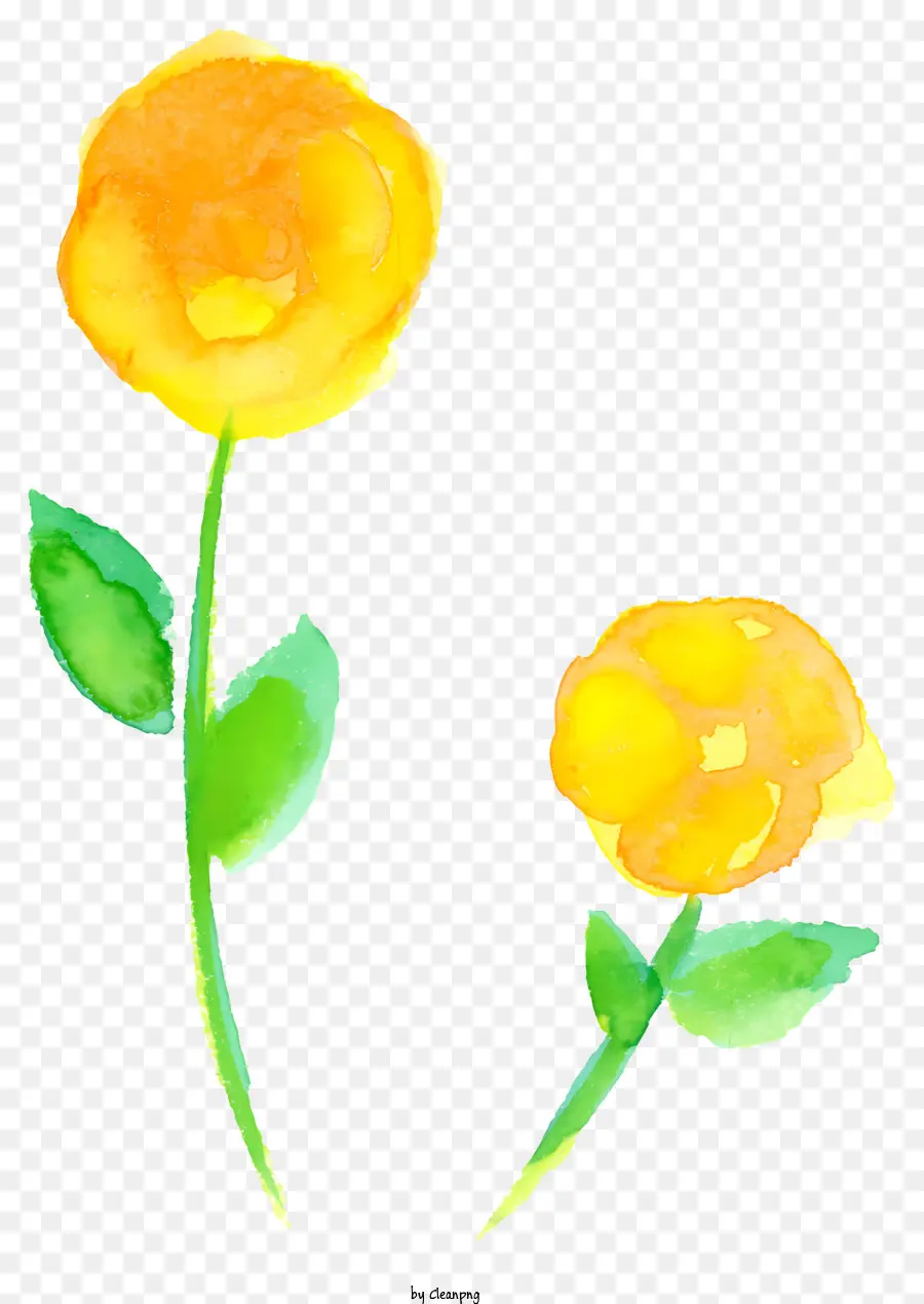 สีเหลืองดอกไม้，ดอกไม้กับใบไม้ PNG