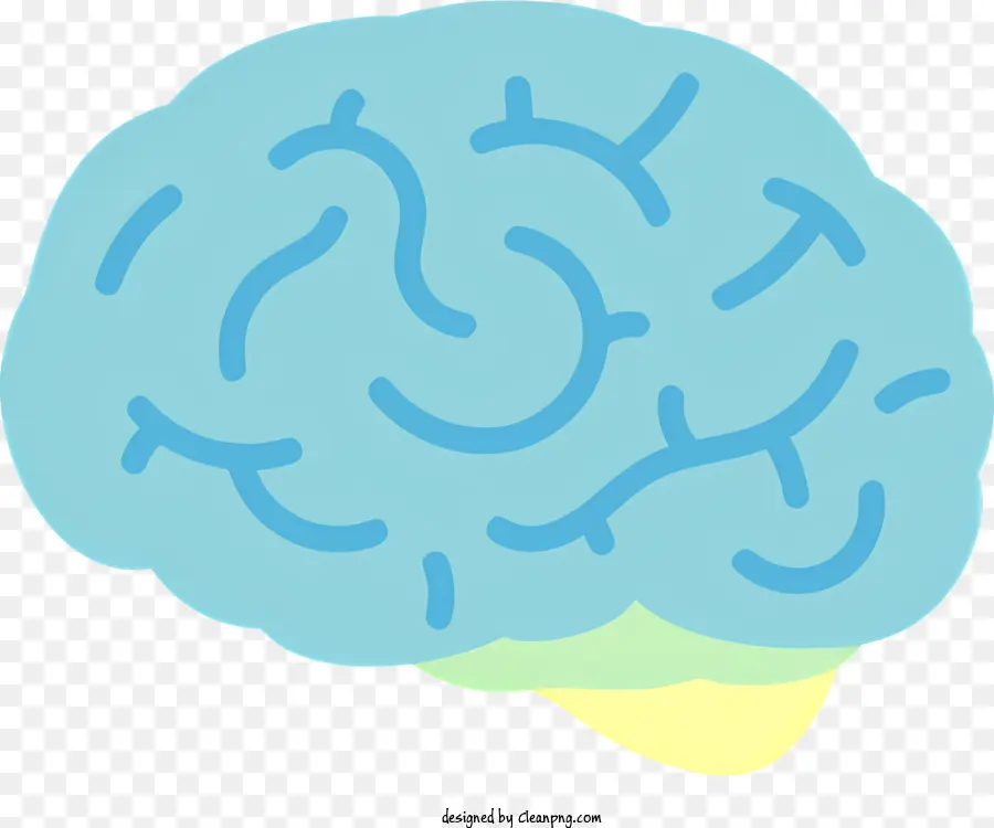 สมองของมนุษย์，การแสดงผล 3 มิติ PNG