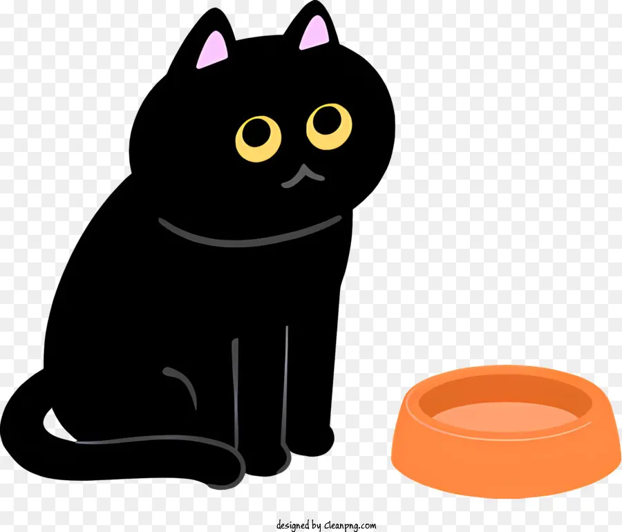 แมวดำ，การแสดงออกที่อยากรู้อยากเห็น PNG