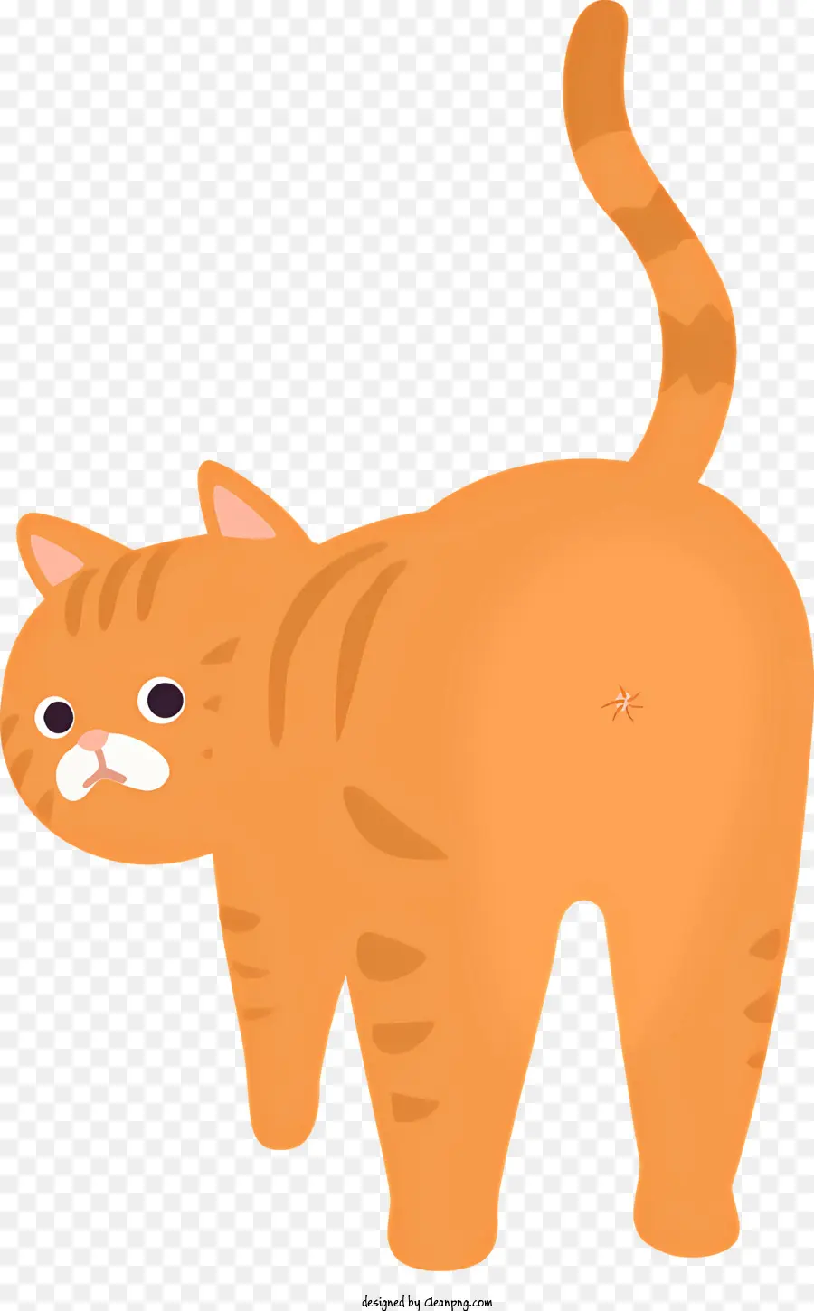 สีส้มแมว，อุ้งเท้าสีขาว PNG