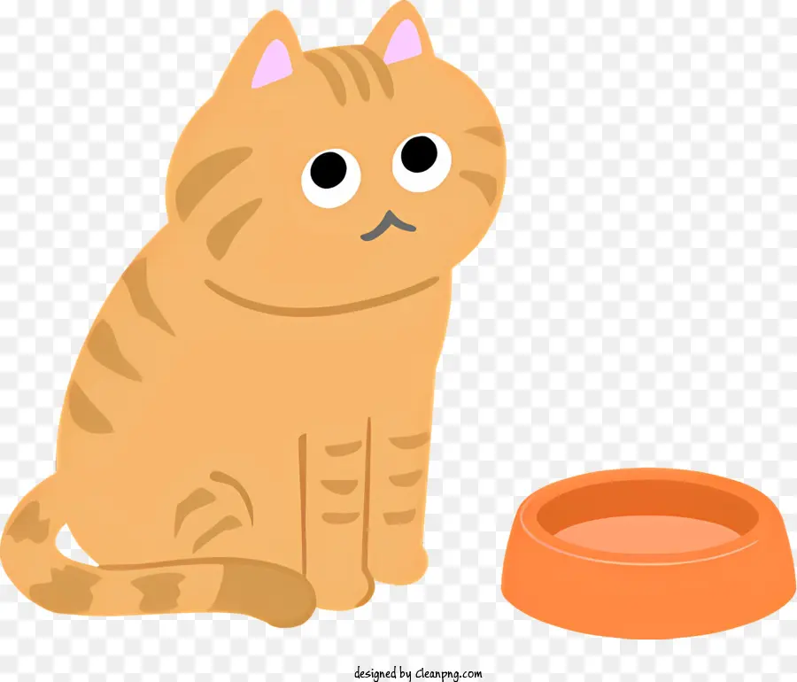สีส้มแมว，น่าเศร้าสำนวน PNG