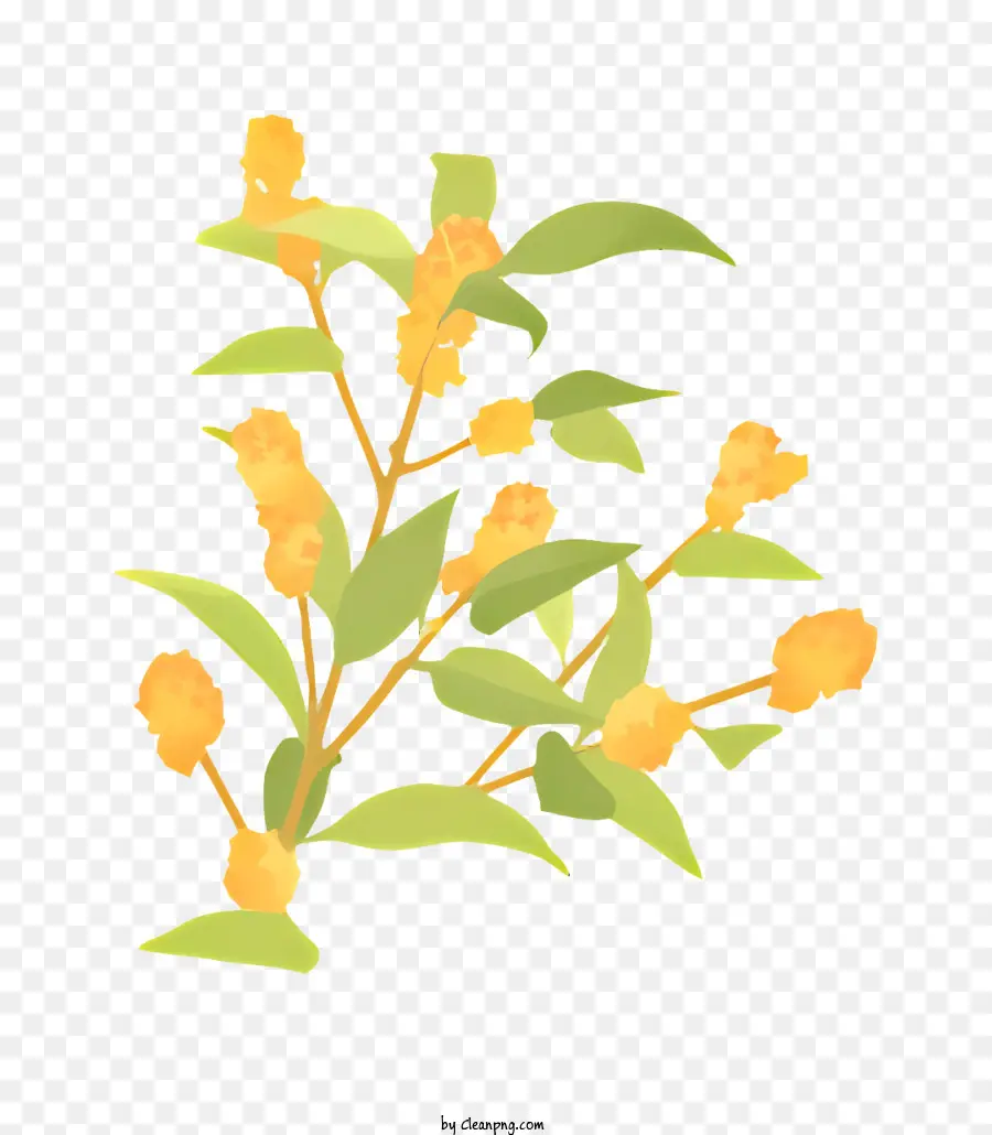 เล็กสีเหลืองดอกไม้，ดอกไม้บานเต็ม PNG