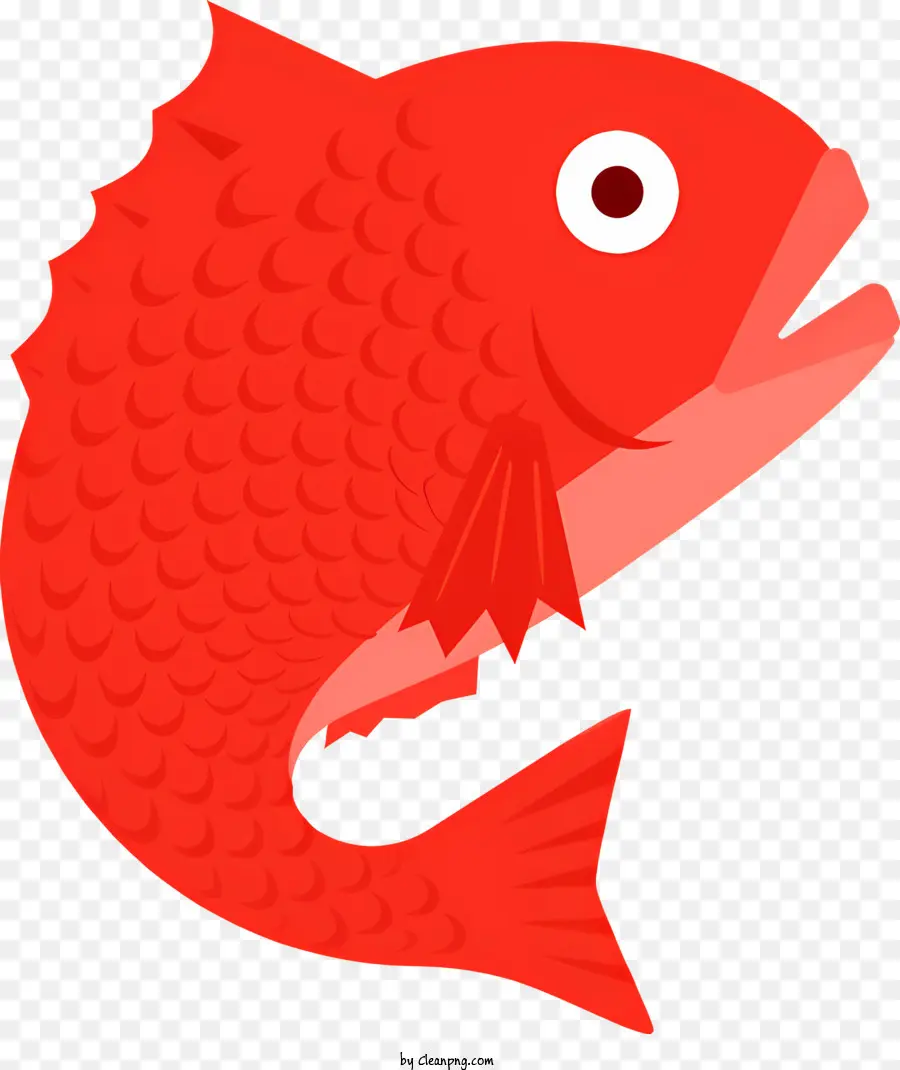 แดงปลา，เปิดปาก PNG