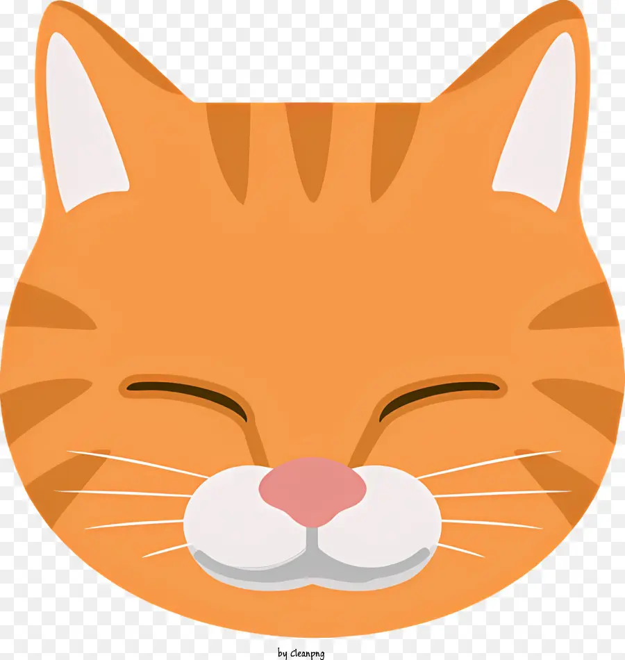 สีส้มแมว，ขนปุย PNG