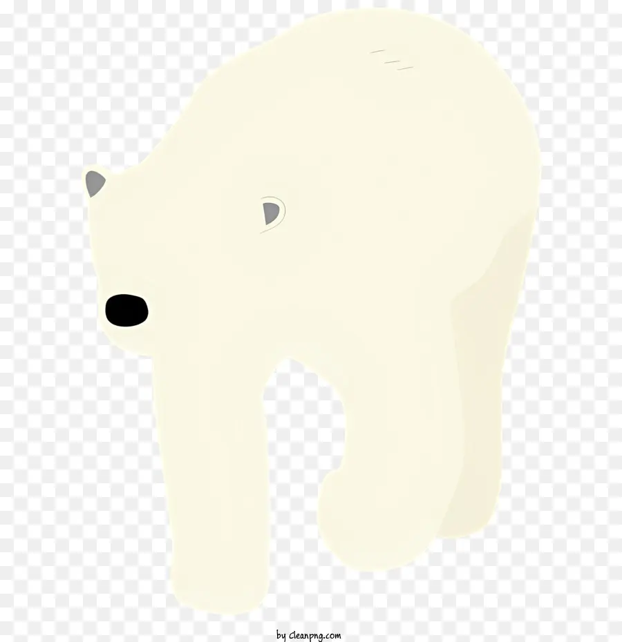 หมีขั้ว，ไวท์วอท PNG