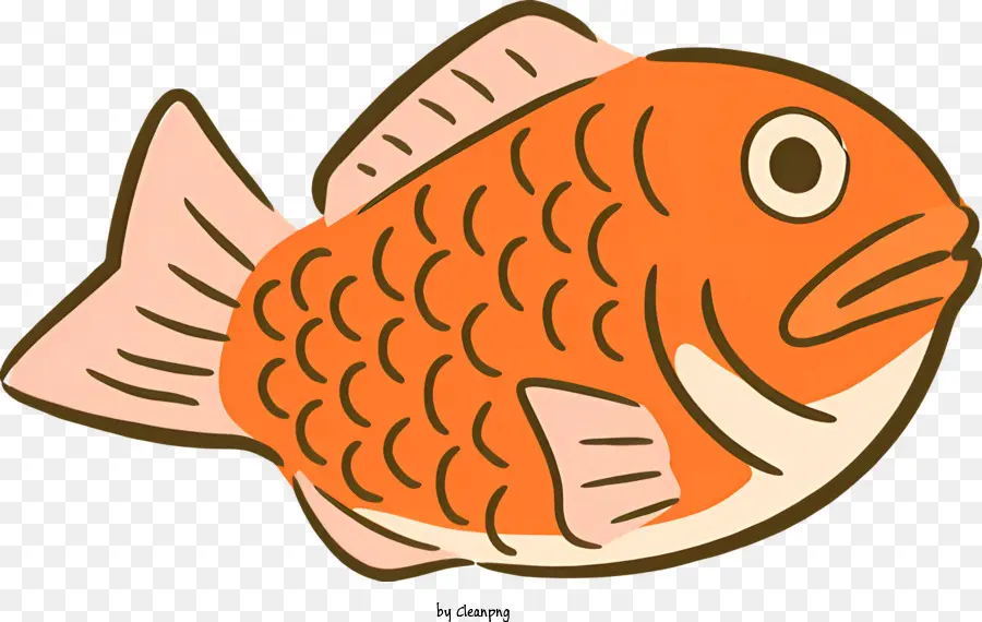 สีส้มปลา，ดวงตาขนาดใหญ่ PNG