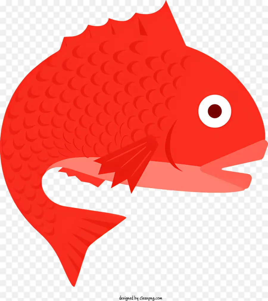 แดงปลา，ปลาขนาดใหญ่ PNG