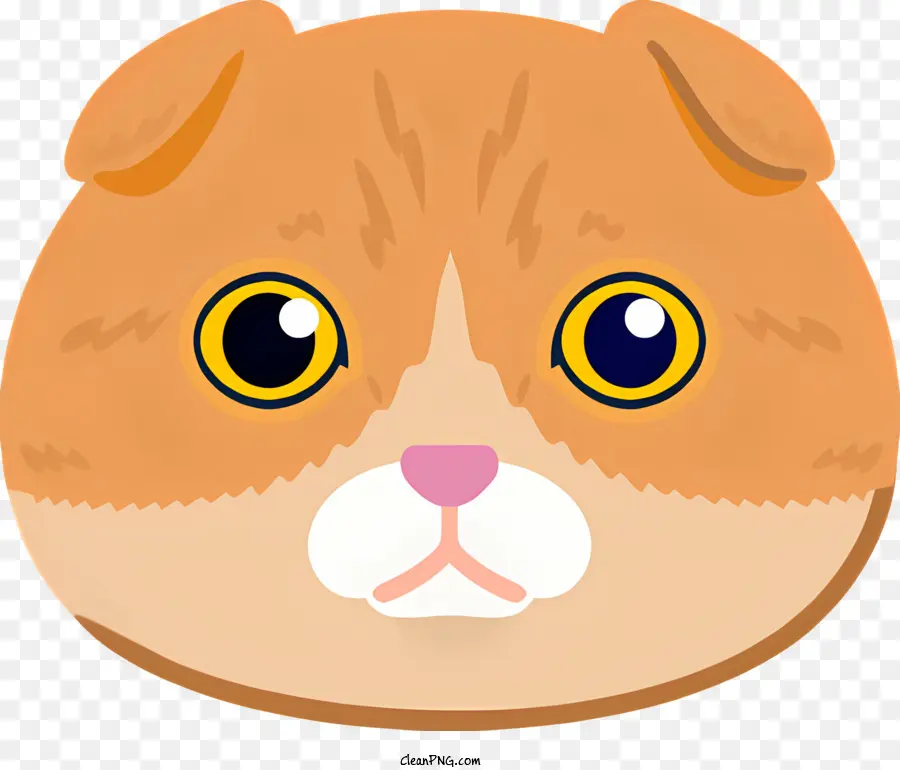 แมวสีน้ำตาลและขาว，ตาเหลือง PNG