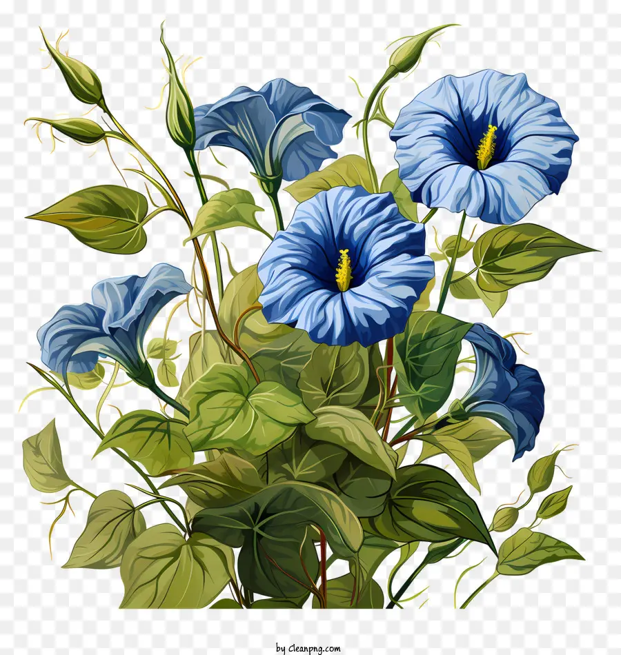 สีน้ำเงินดอกไม้，เสื้อเกราะ PNG