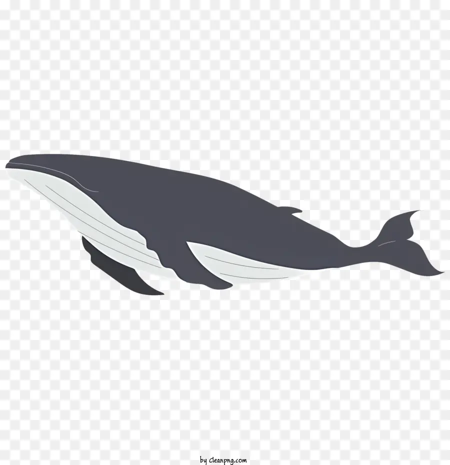 วาฬ，มหาสมุทร PNG