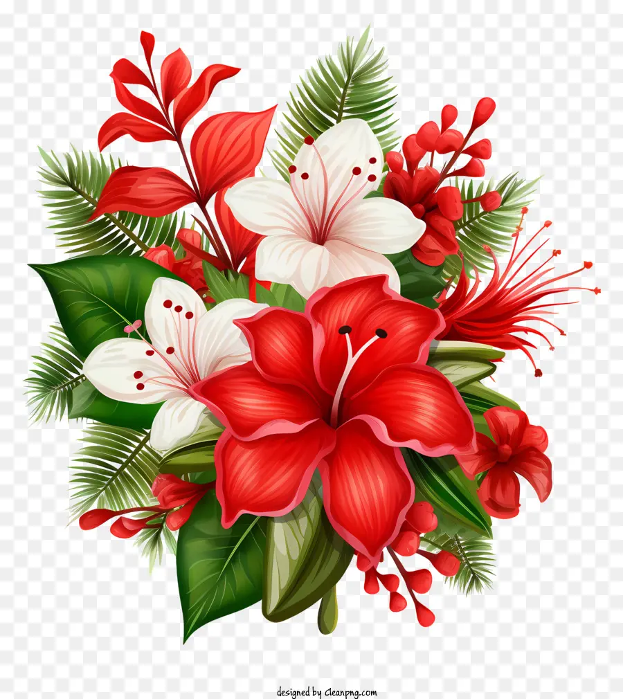 คริสต์มาสส่วนประกอบ，ดอกไม้สีแดงและสีขาว PNG