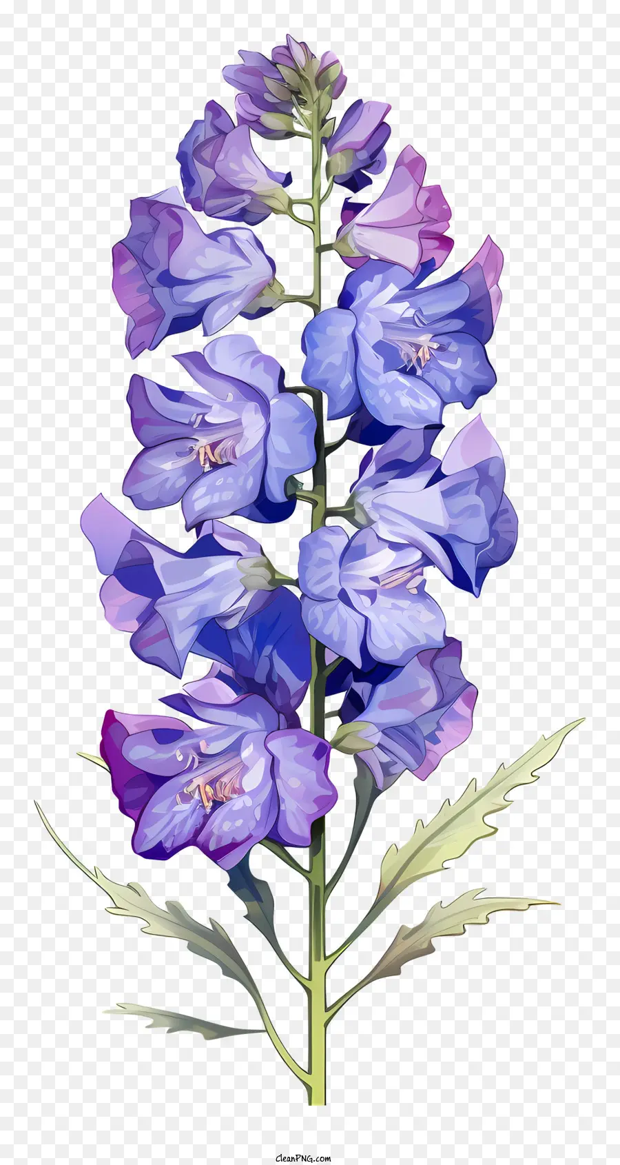 ดอกไม้สีพาสเทล Delphinium，ดอกไม้สีม่วง PNG