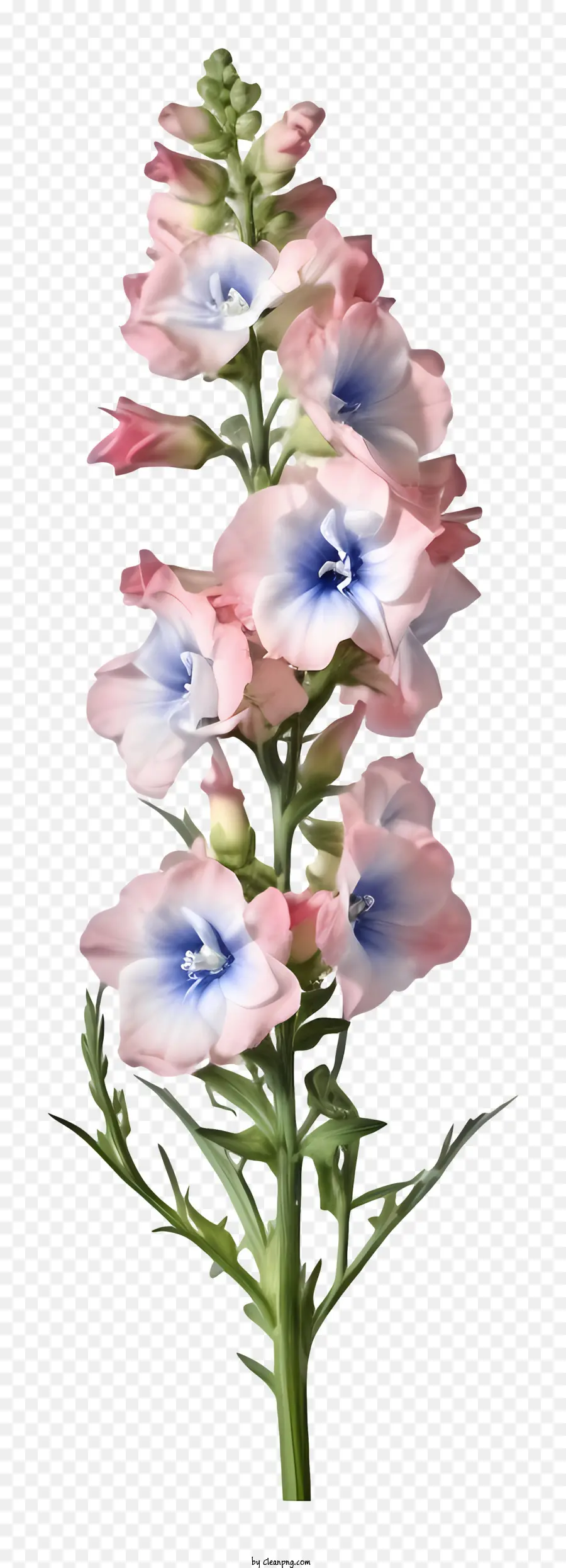 ดอกไม้ 3d Delphinium ที่เหมือนจริง，ดอกไม้สีม่วง PNG