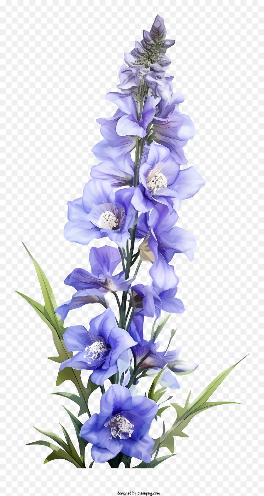 Doodle Delphinium Flower，ดอกไม้สีม่วง PNG